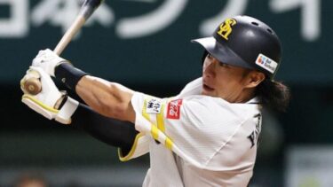 柳田悠岐のアクアプローヴァはなぜ骨折で死亡？その理由や愛馬購入価格にも驚愕！